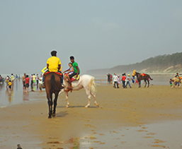 Area to Visit- Digha