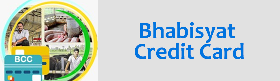 Scheme - Bhabisyat Credit Card